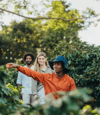 Le Chamarel Coffee Plantation Experience
