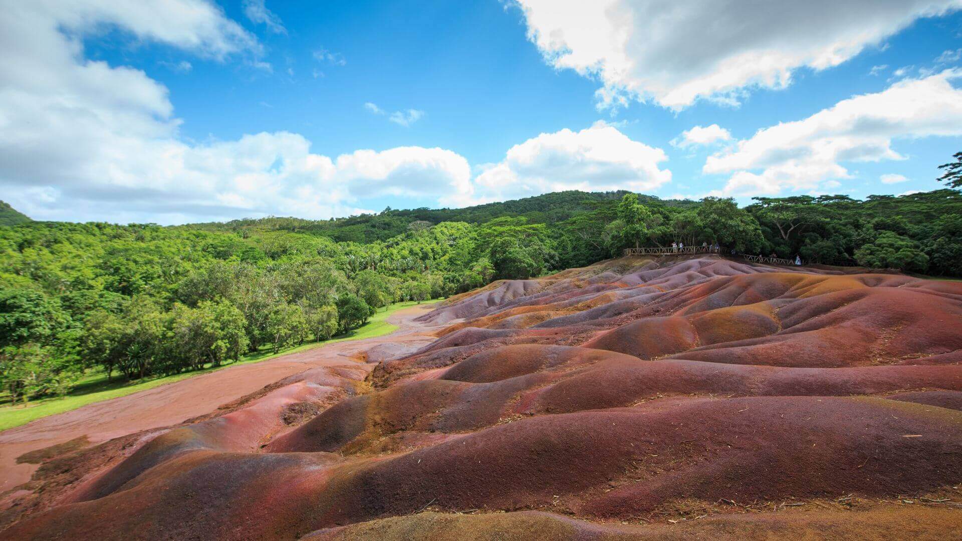 La faune et la flore uniques de l'île Maurice à Chamarel