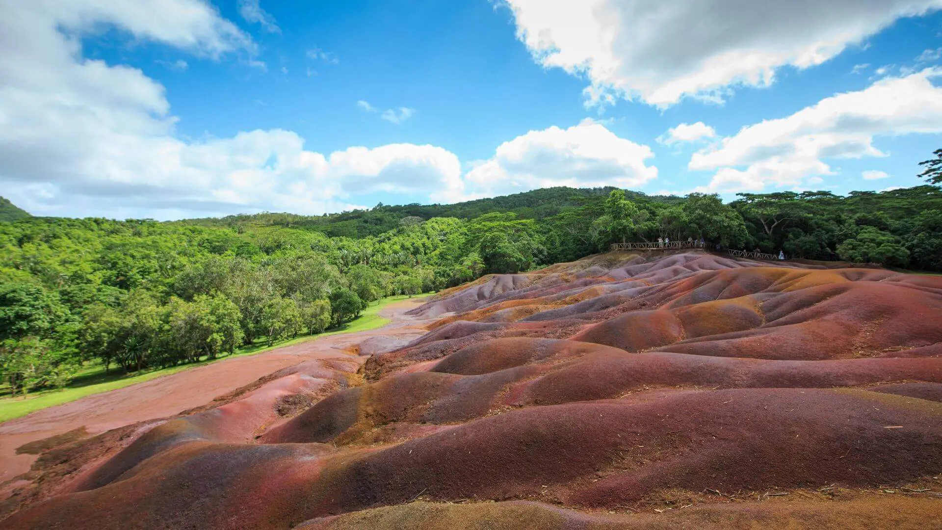 La faune et la flore uniques de l'île Maurice à Chamarel