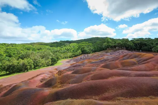 Wildlife wonders: Unique fauna & flora of Mauritius in Chamarel