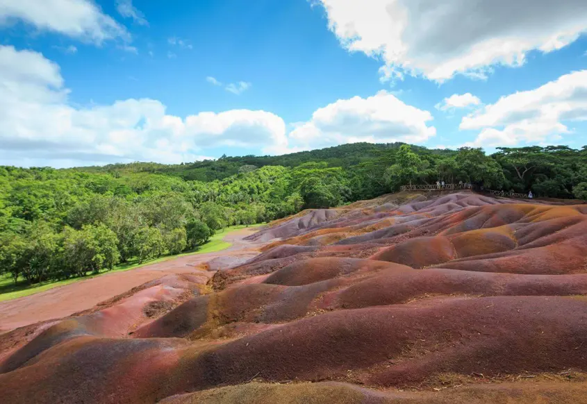 La faune et la flore uniques de l'île Maurice à Chamarel