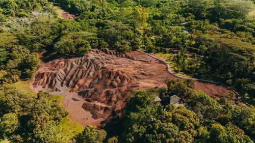 Soutien à la conservation de la faune à Chamarel, à l’île Maurice, à travers la protection des espèces locales et de leurs habitats naturels