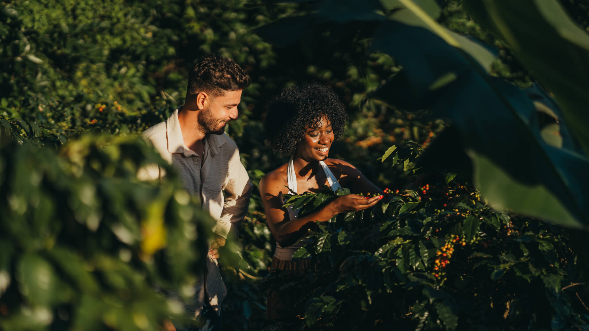 Expériences
