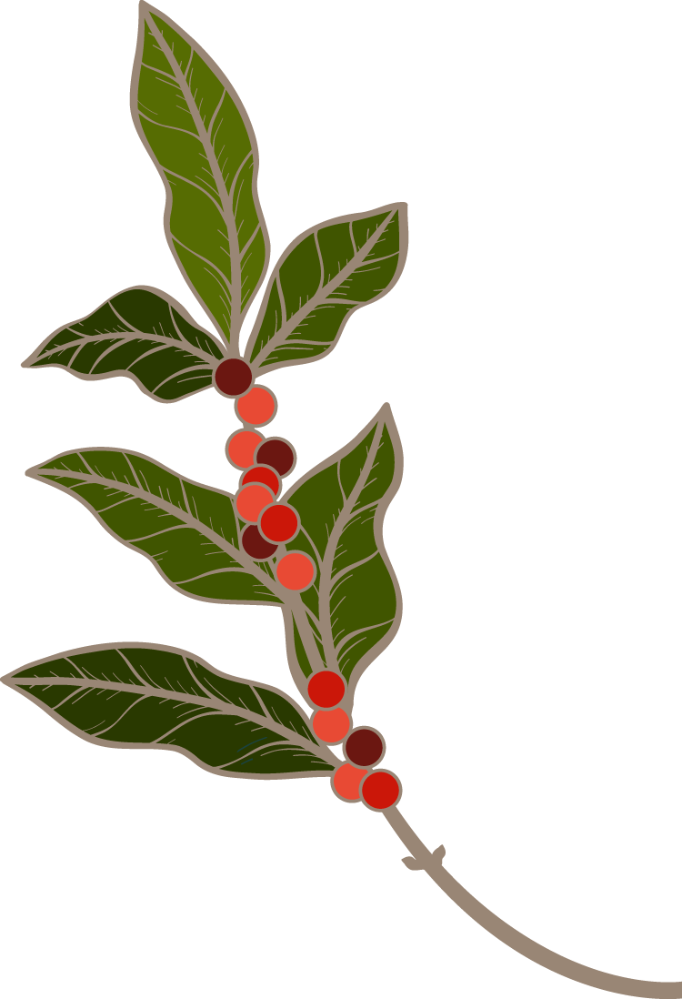 Faq Illustration