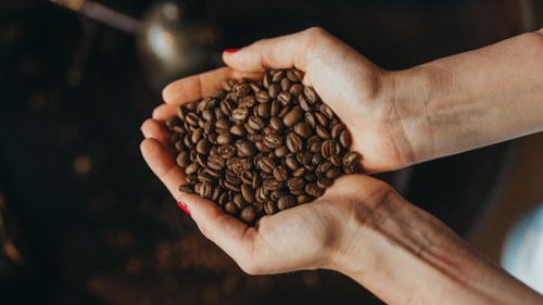 Chamarel Coffee Plantation in Mauritius