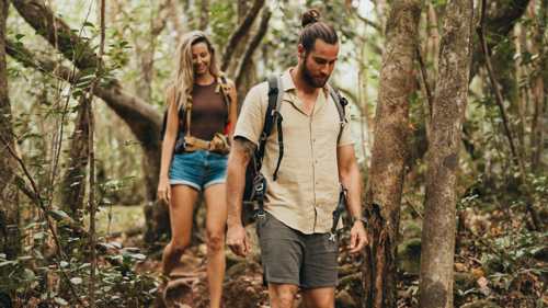 Guided walk