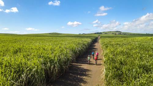 Cyclists exploring the scenic landscapes of Chamarel