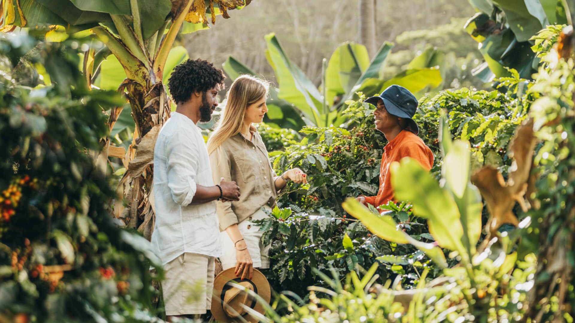 Coffee Tour Experience