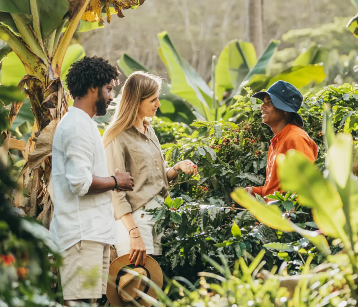 Chamarel Coffee Plantation