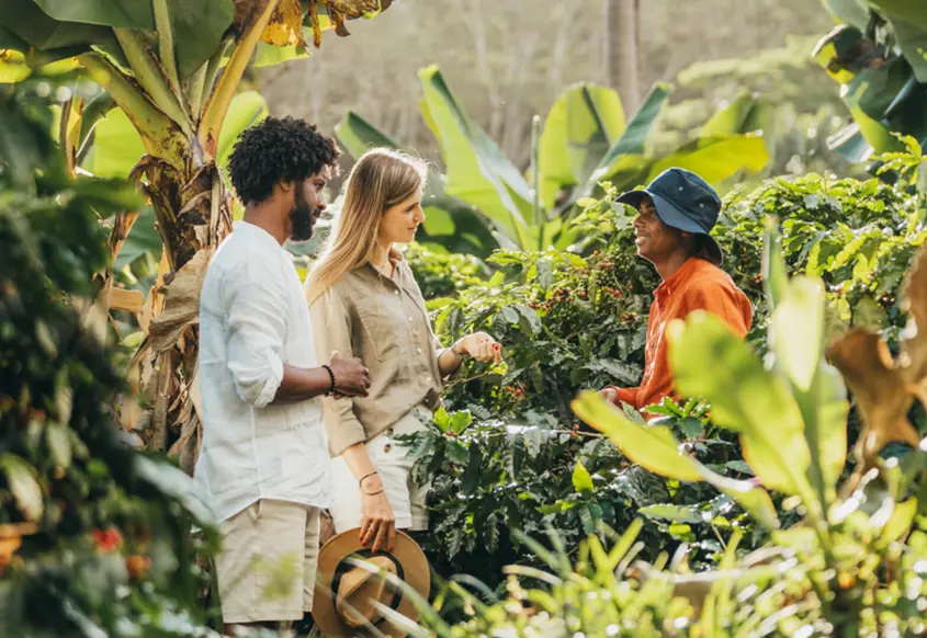 Le Chamarel Coffee Plantation Experience