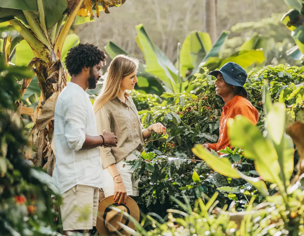 Le Chamarel Coffee Plantation Experience