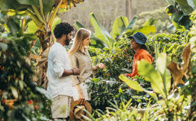 Chamarel Coffee Plantation