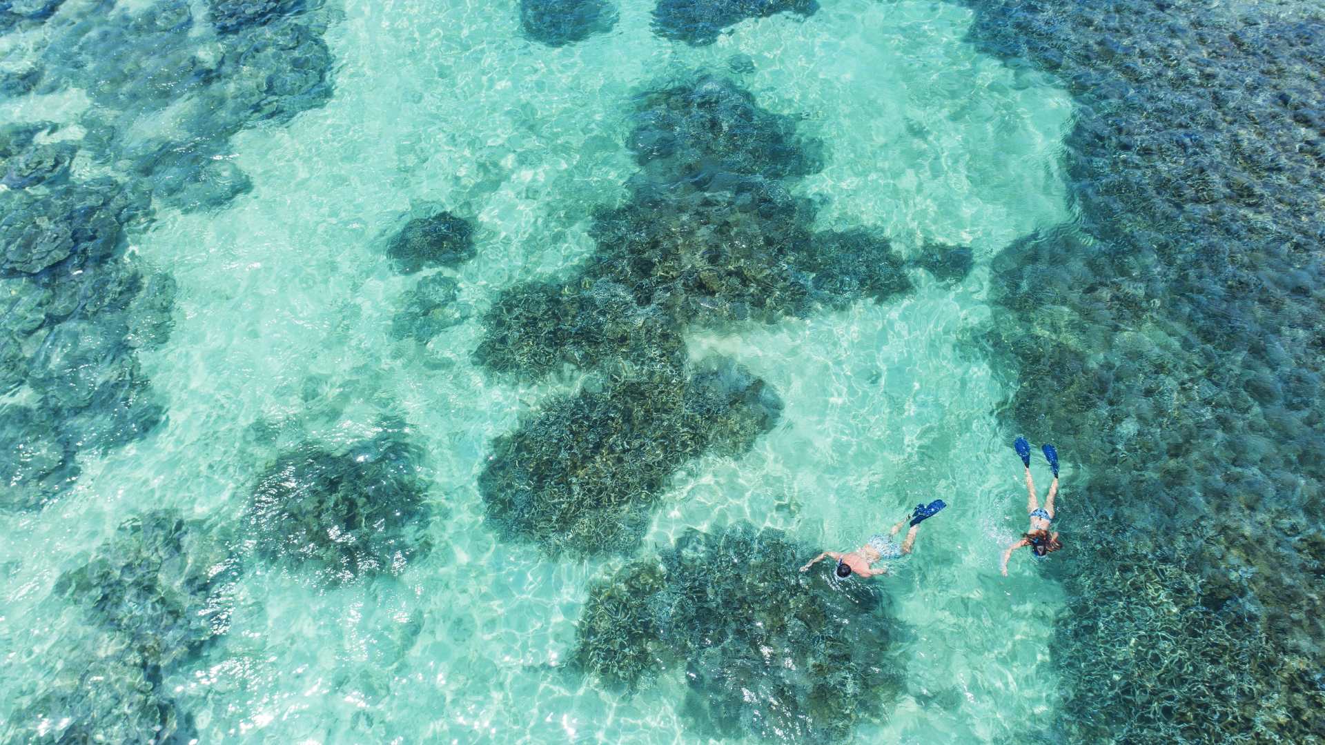 Les choses à faire et lieux à visiter dans l’ouest de l'île Maurice  en 2026