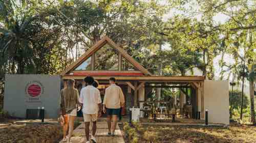 Coffee Plantation Tour